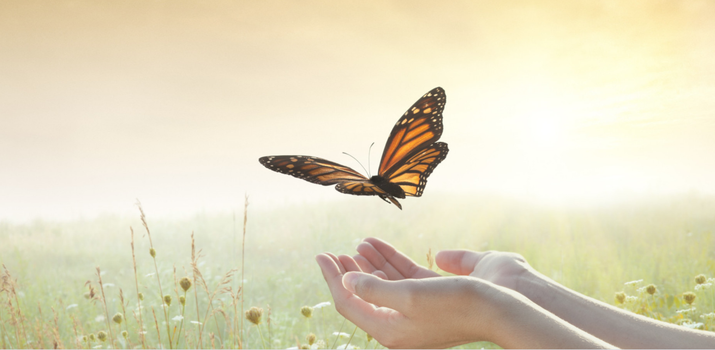 Die to the Self: A Mindfulness Meditation